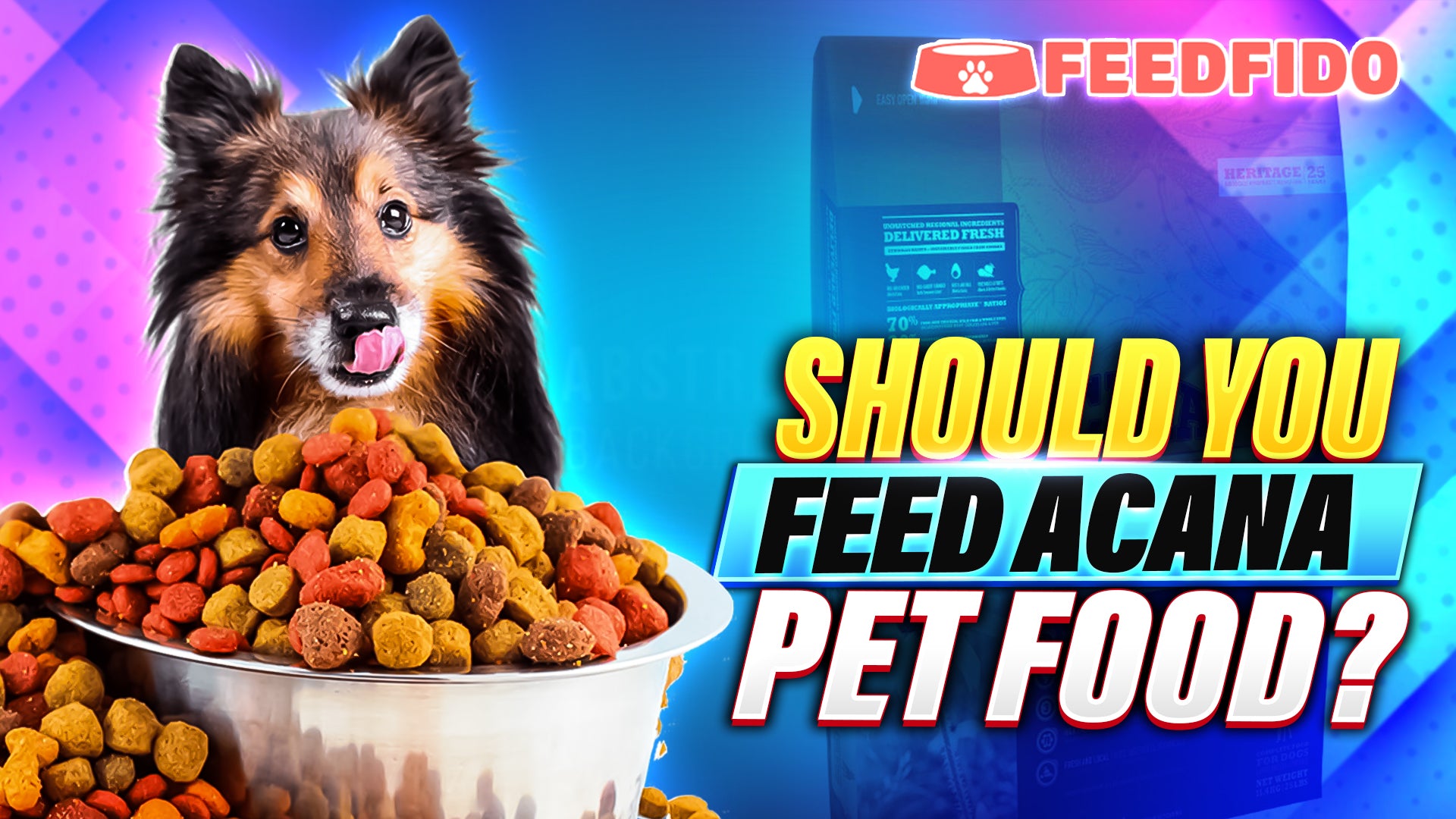 Should You Feed ACANA Pet Food?