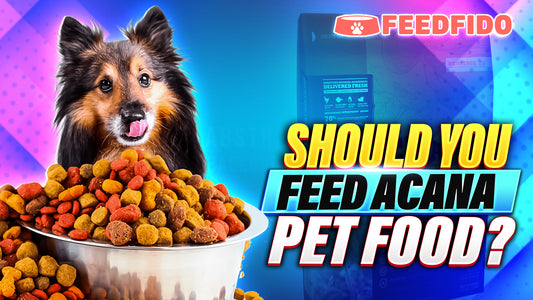 Should You Feed ACANA Pet Food?