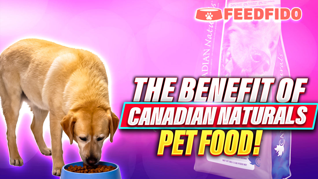 The Benefit of Canadian Naturals Pet Food: 2023 Review