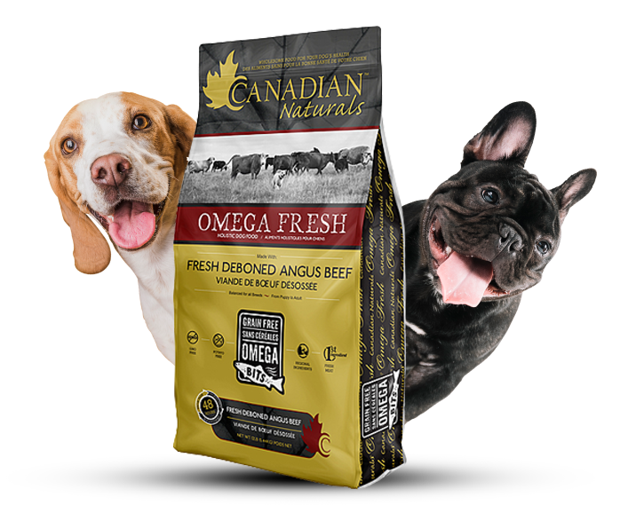 Dog food outlet order