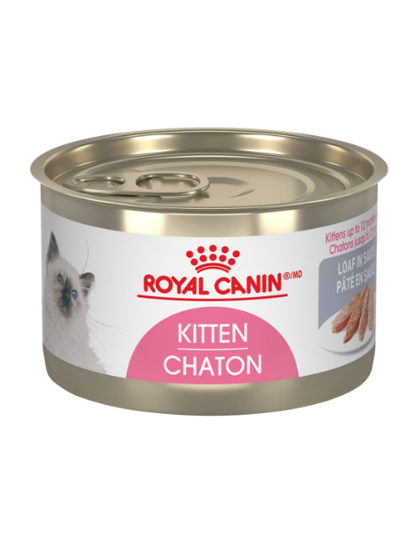 Royal Canin Cat | Kitten Instinctive Loaf 24x145g