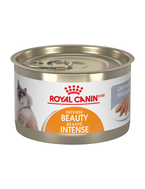 Royal Canin Cat | Intense Beauty 24x145g