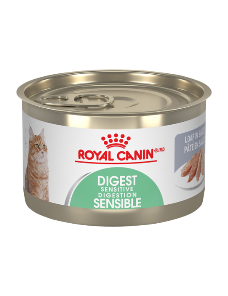 Royal Canin Cat | Digest Sensitive Loaf 24x145g