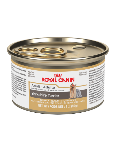 Royal Canin | Yorkshire 24/85G