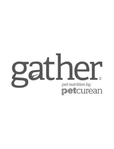 Gather Dry Dog