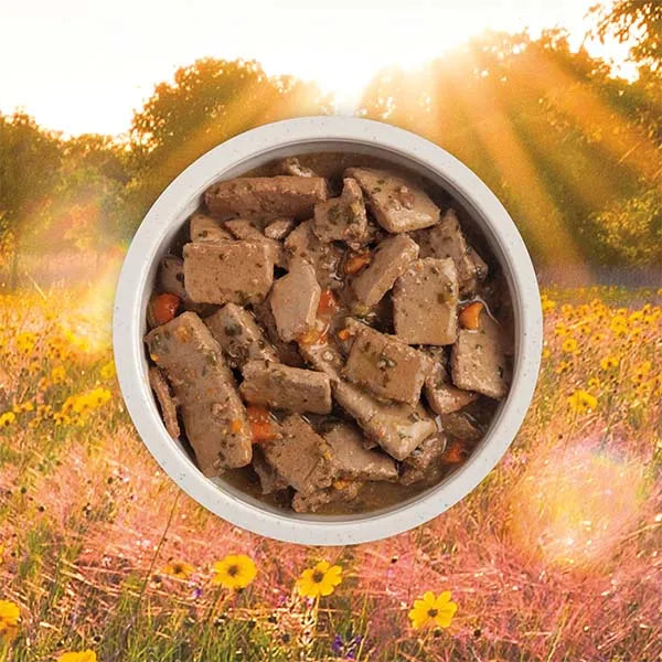 Acana Premium Chunks Wet Dog Food - Lamb Recipe in Bone Broth