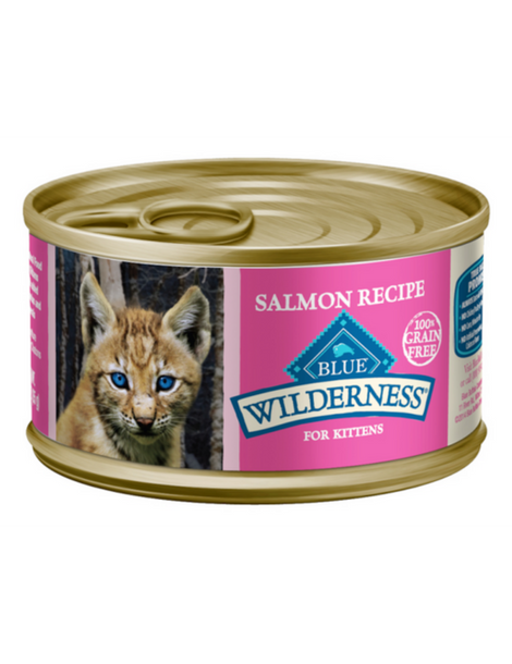 Blue Cat | Wilderness | Kitten Salmon Entree 24/3OZ